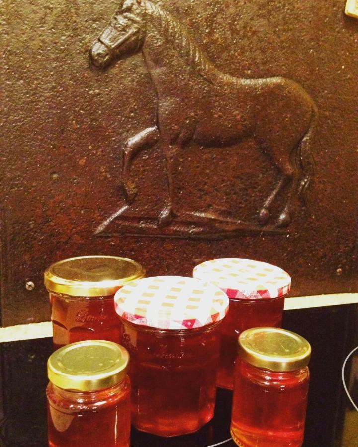 Chez L'Antiquaire Bed & Breakfast Hauterives Bagian luar foto
