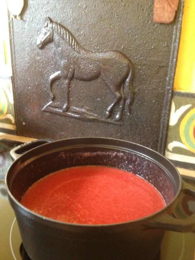 Chez L'Antiquaire Bed & Breakfast Hauterives Bagian luar foto